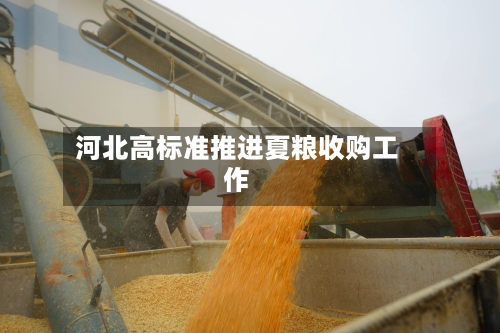 河北高标准推进夏粮收购工作-第2张图片