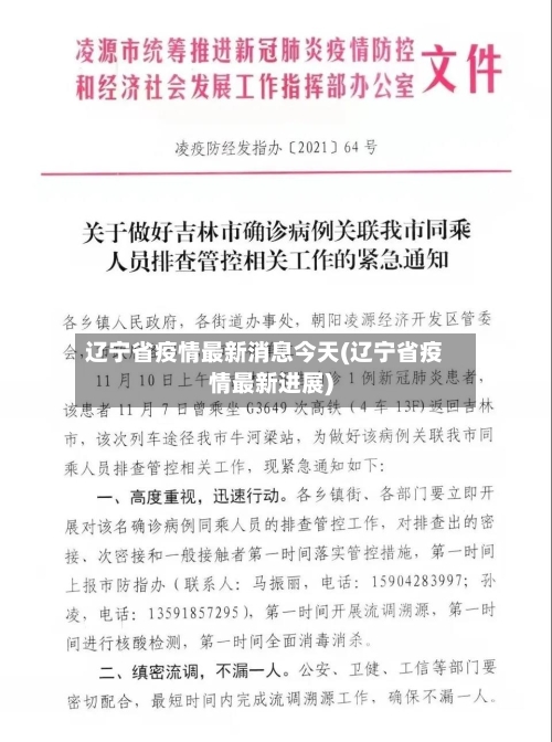 辽宁省疫情最新消息今天(辽宁省疫情最新进展)-第2张图片