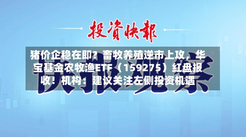 猪价企稳在即？畜牧养殖逆市上攻，华宝基金农牧渔ETF（159275）红盘报收！机构：建议关注左侧投资机遇