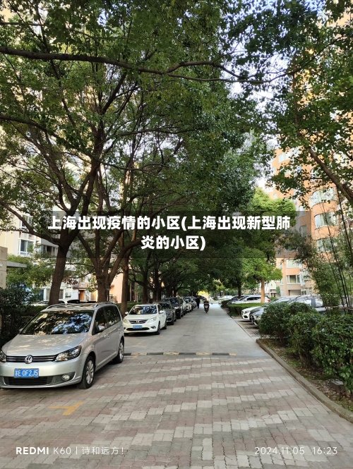 上海出现疫情的小区(上海出现新型肺炎的小区)-第3张图片