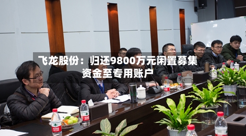 飞龙股份:归还9800万元闲置募集资金至专用账户-第2张图片