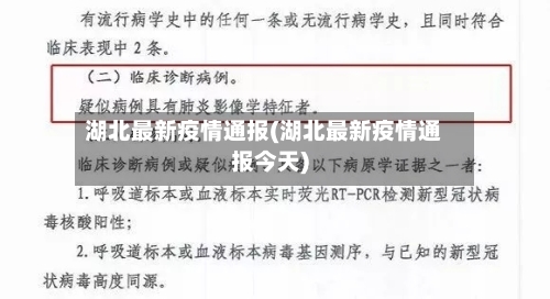 湖北最新疫情通报(湖北最新疫情通报今天)-第3张图片