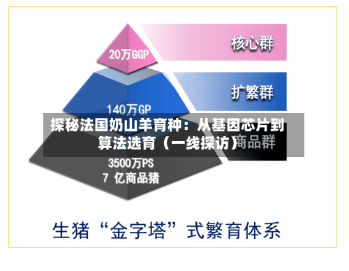 探秘法国奶山羊育种：从基因芯片到算法选育（一线探访）