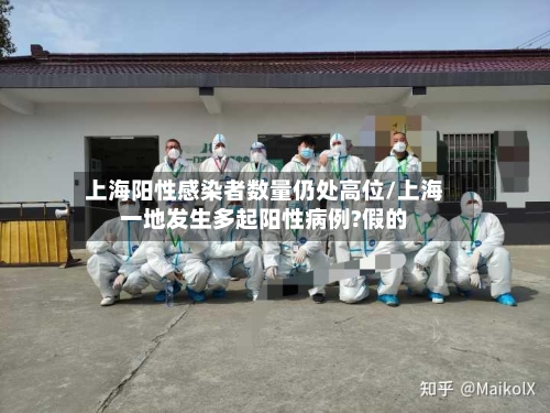 上海阳性感染者数量仍处高位/上海一地发生多起阳性病例?假的-第3张图片