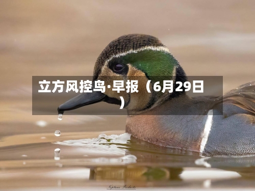 立方风控鸟·早报(6月29日)-第2张图片
