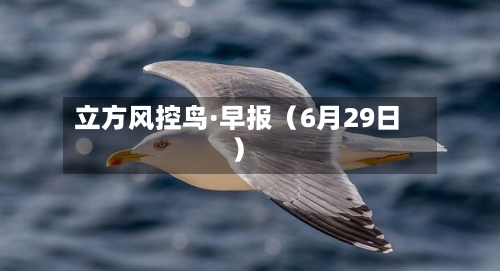 立方风控鸟·早报（6月29日）