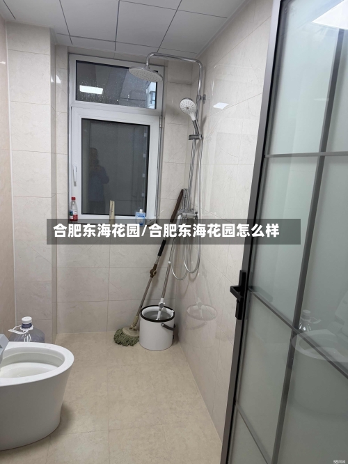 合肥东海花园/合肥东海花园怎么样-第2张图片