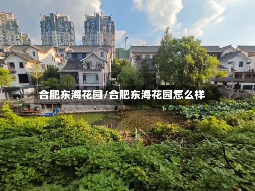 合肥东海花园/合肥东海花园怎么样-第3张图片