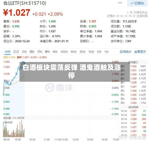 白酒板块震荡反弹 酒鬼酒触及涨停