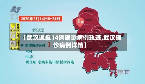 【武汉通报14例确诊病例轨迹,武汉确诊病例详情】-第2张图片