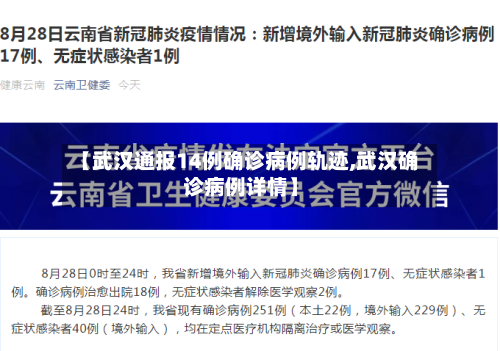 【武汉通报14例确诊病例轨迹,武汉确诊病例详情】-第3张图片