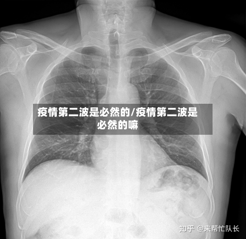 疫情第二波是必然的/疫情第二波是必然的嘛-第3张图片