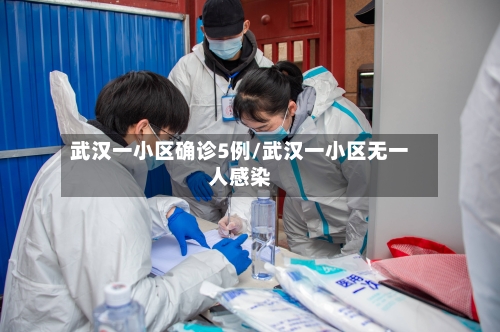 武汉一小区确诊5例/武汉一小区无一人感染-第2张图片