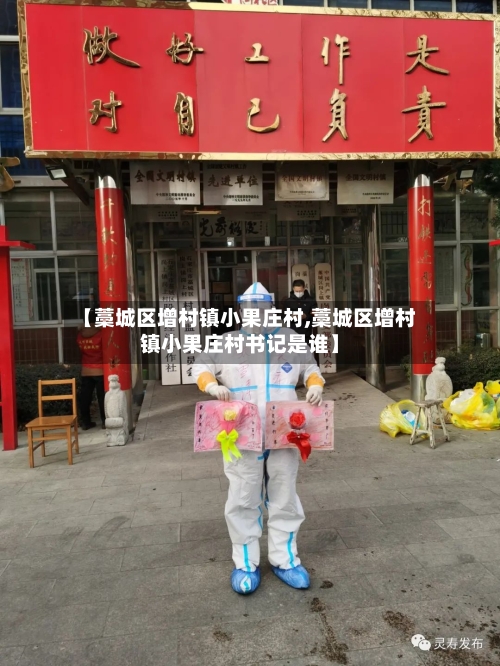 【藁城区增村镇小果庄村,藁城区增村镇小果庄村书记是谁】-第2张图片