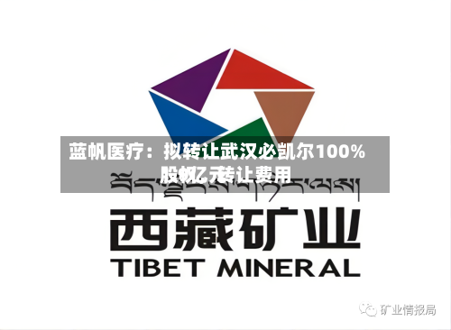 蓝帆医疗：拟转让武汉必凯尔100%股权，转让费用1.9亿元-第2张图片