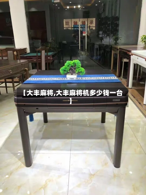 【大丰麻将,大丰麻将机多少钱一台】-第3张图片