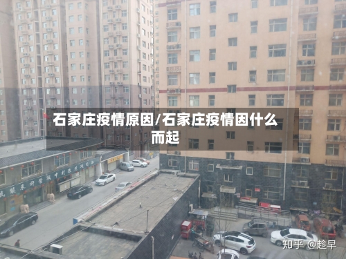 石家庄疫情原因/石家庄疫情因什么而起