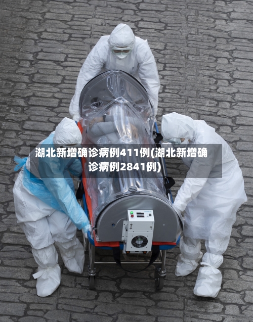 湖北新增确诊病例411例(湖北新增确诊病例2841例)