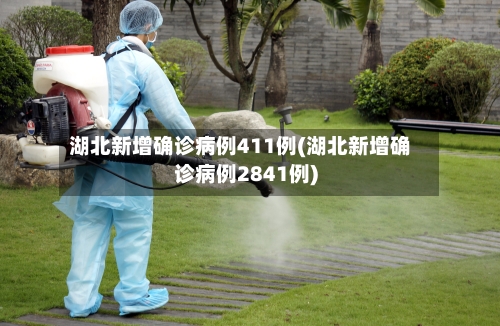 湖北新增确诊病例411例(湖北新增确诊病例2841例)-第2张图片