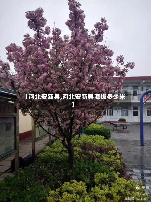 【河北安新县,河北安新县海拔多少米】