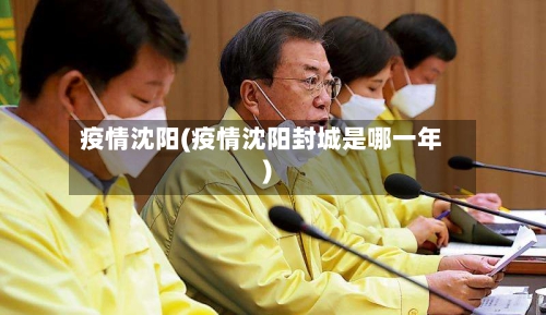 疫情沈阳(疫情沈阳封城是哪一年)