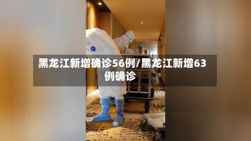 黑龙江新增确诊56例/黑龙江新增63例确诊-第2张图片