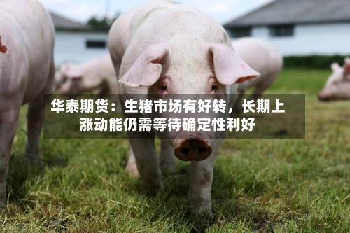 华泰期货：生猪市场有好转，长期上涨动能仍需等待确定性利好-第3张图片