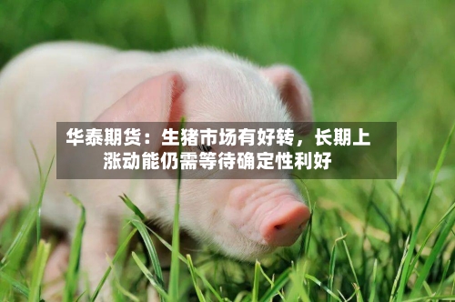 华泰期货：生猪市场有好转	，长期上涨动能仍需等待确定性利好-第2张图片