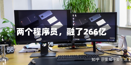 两个程序员，融了266亿