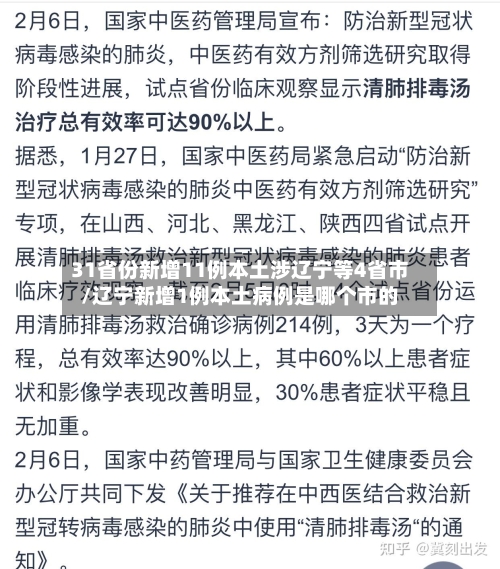 31省份新增11例本土涉辽宁等4省市/辽宁新增1例本土病例是哪个市的