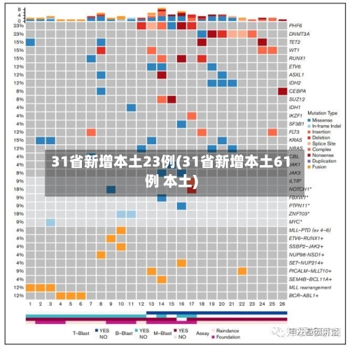 31省新增本土23例(31省新增本土61例 本土)-第2张图片