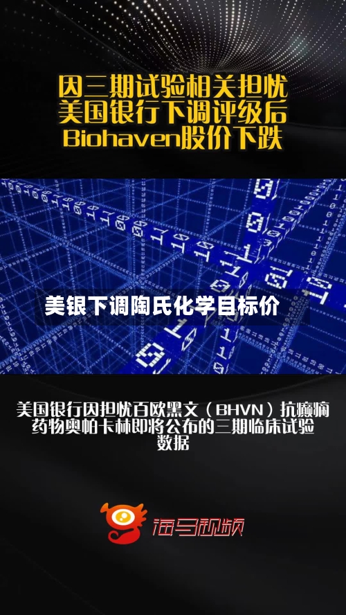 美银下调陶氏化学目标价