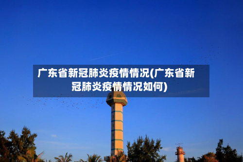 广东省新冠肺炎疫情情况(广东省新冠肺炎疫情情况如何)