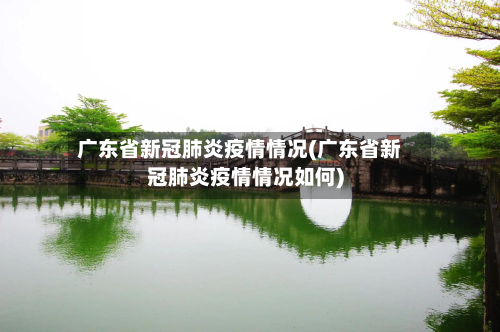 广东省新冠肺炎疫情情况(广东省新冠肺炎疫情情况如何)-第2张图片