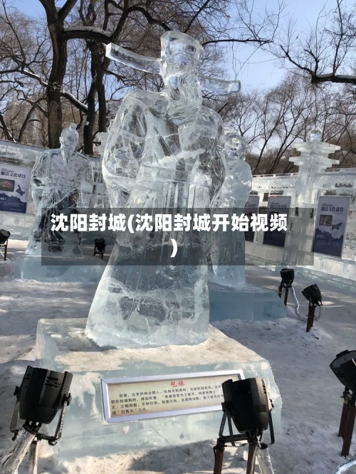 沈阳封城(沈阳封城开始视频)