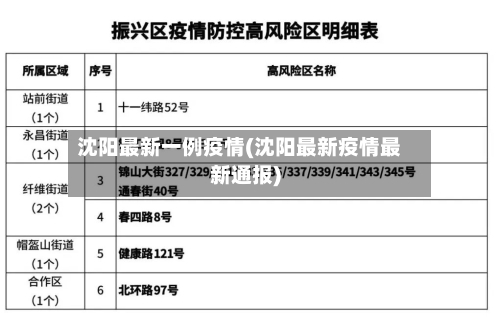 沈阳最新一例疫情(沈阳最新疫情最新通报)-第3张图片