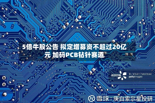 5倍牛股公告 拟定增募资不超过20亿元 加码PCB钻针赛道-第2张图片
