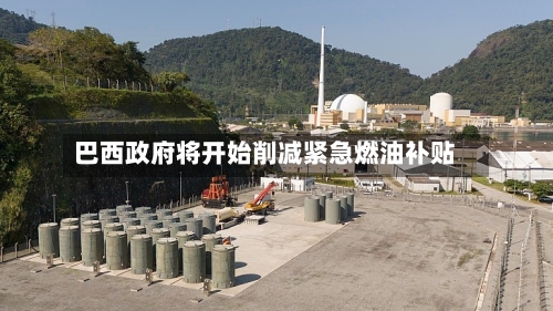 巴西政府将开始削减紧急燃油补贴-第2张图片