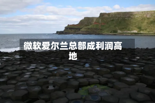 微软爱尔兰总部成利润高地