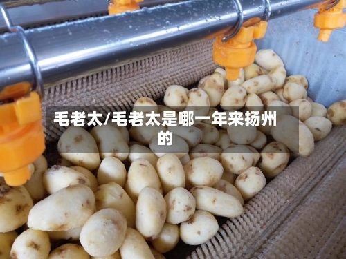 毛老太/毛老太是哪一年来扬州的
