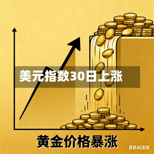 美元指数30日上涨-第2张图片
