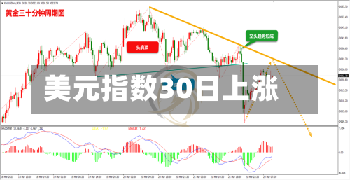 美元指数30日上涨