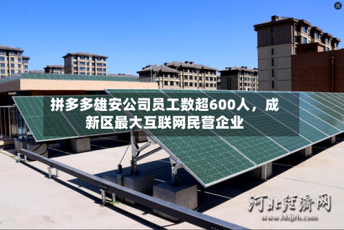 拼多多雄安公司员工数超600人，成新区最大互联网民营企业