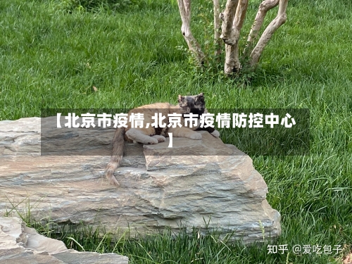 【北京市疫情,北京市疫情防控中心】