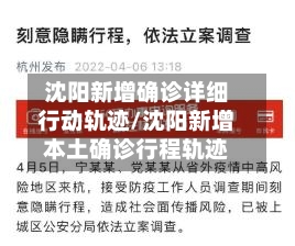 沈阳新增确诊详细行动轨迹/沈阳新增本土确诊行程轨迹-第2张图片