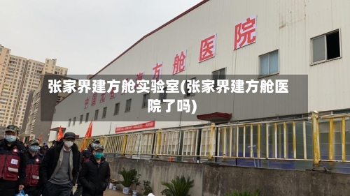 张家界建方舱实验室(张家界建方舱医院了吗)-第3张图片