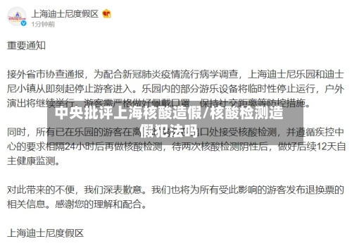 中央批评上海核酸造假/核酸检测造假犯法吗-第3张图片