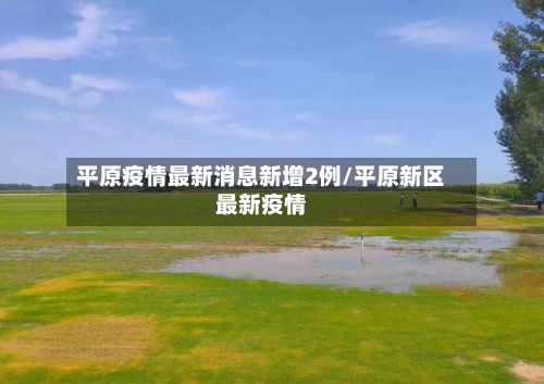 平原疫情最新消息新增2例/平原新区最新疫情