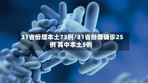 31省份增本土73例/31省份增确诊25例 其中本土5例