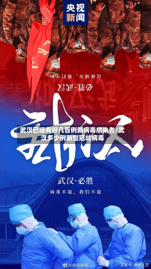 武汉已经有好几百例新病毒感染者/武汉多少例新型冠状病毒-第2张图片
